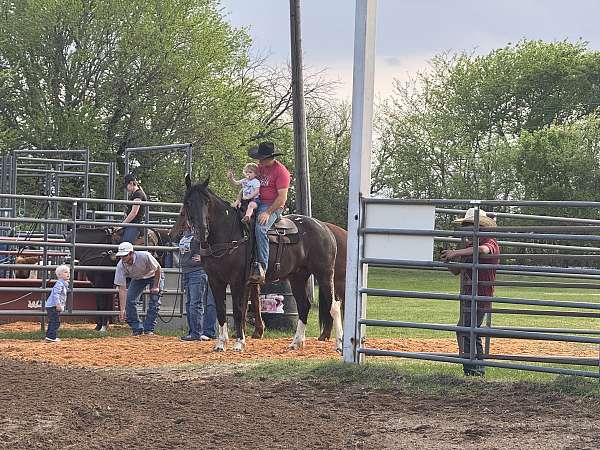roping-draft-horse