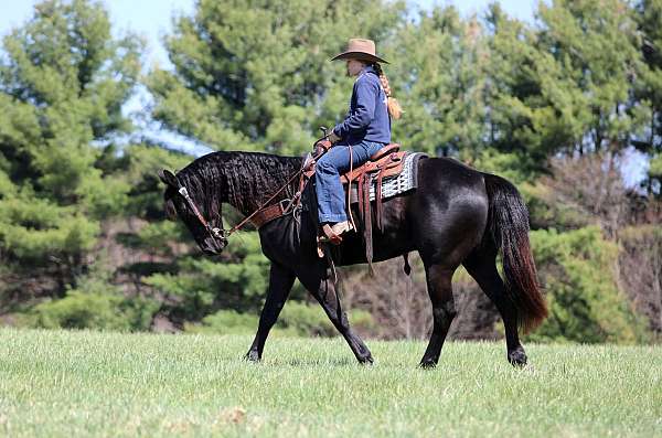 flashy-quarter-horse