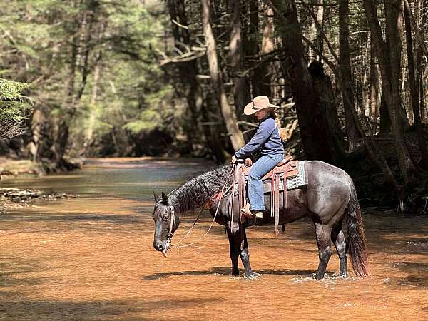 ranch-work-quarter-horse