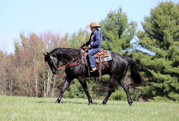 roping-quarter-horse