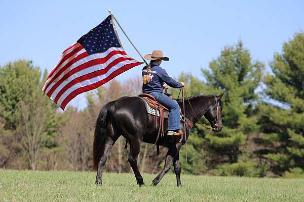 trail-riding-quarter-horse