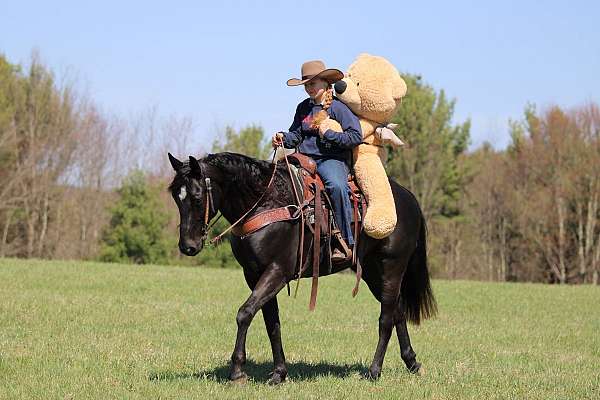western-riding-quarter-horse