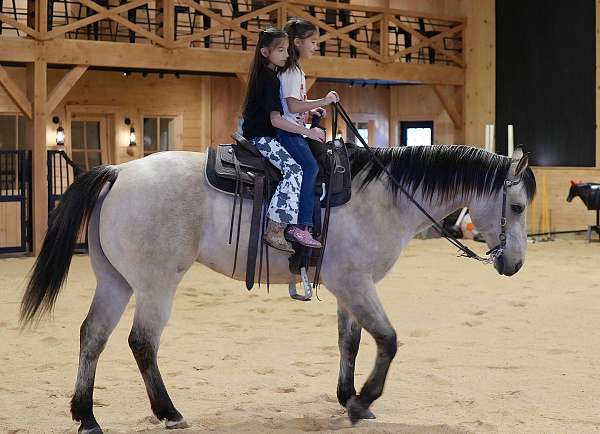kid-safe-quarter-horse