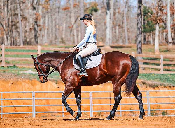 jumping-quarter-horse