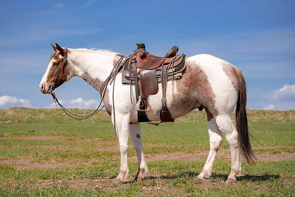 kid-safe-paint-horse
