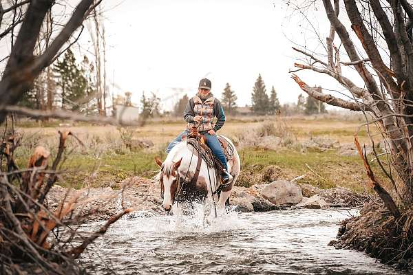 roping-paint-horse