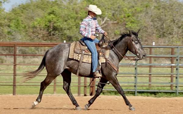 roping-quarter-horse
