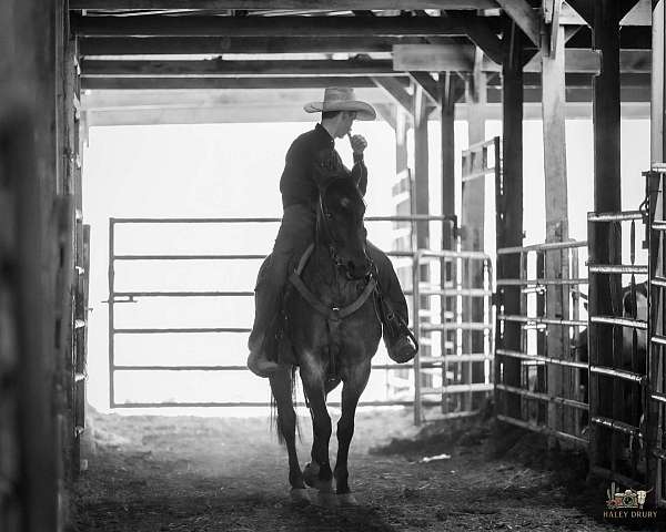 trail-riding-quarter-horse