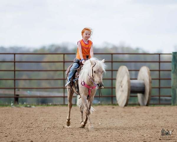 barrel-pony