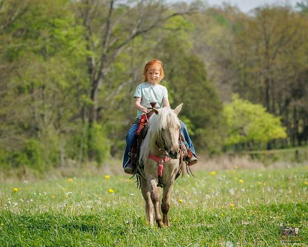 athletic-pony