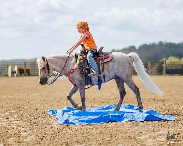 barrel-racing-pony