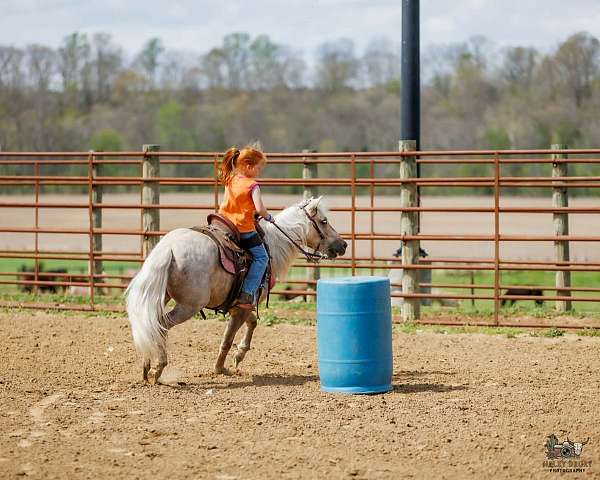 kid-safe-pony