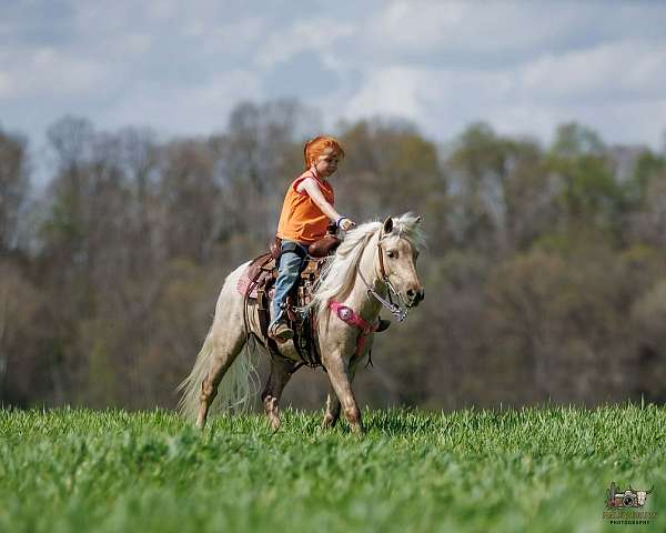 ranch-pony