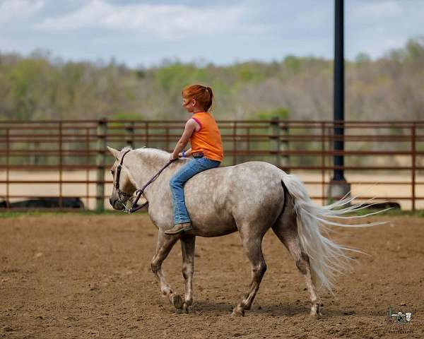 ranch-work-pony