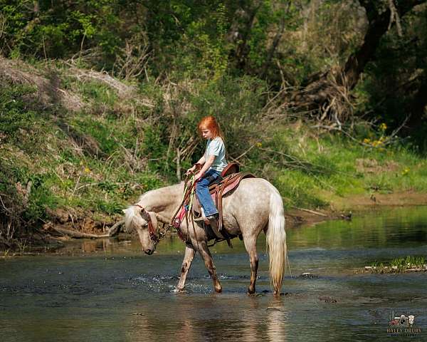 trail-pony