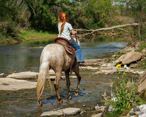 youth-pony