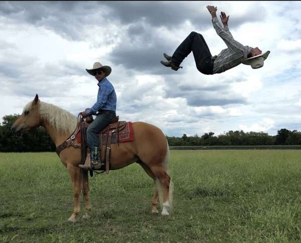 cowboy-mounted-shooting-quarter-horse