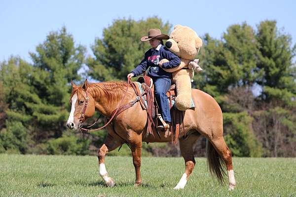 roping-quarter-horse