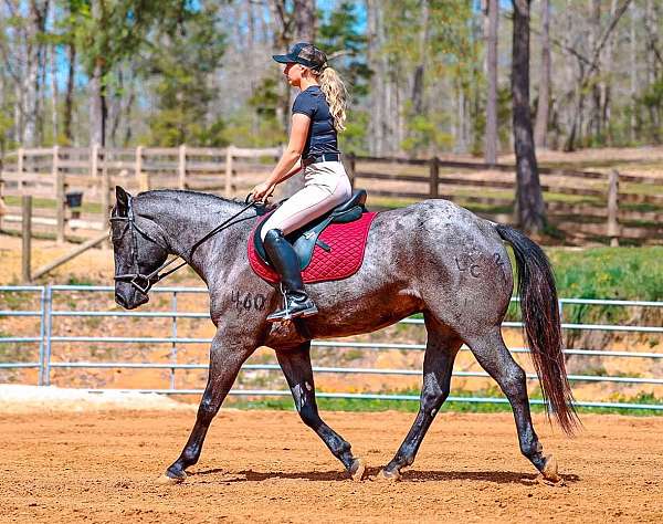 ridden-western-quarter-horse