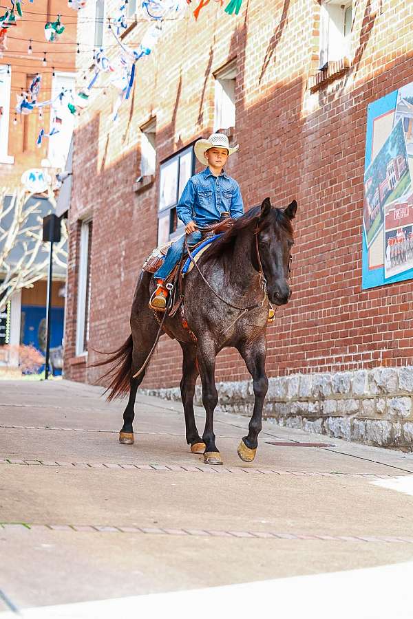 roping-quarter-horse