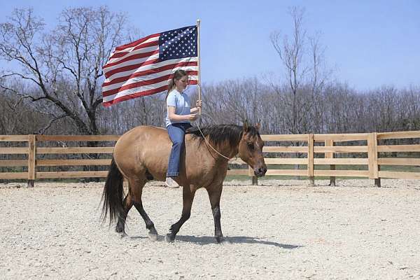 ranch-quarter-horse