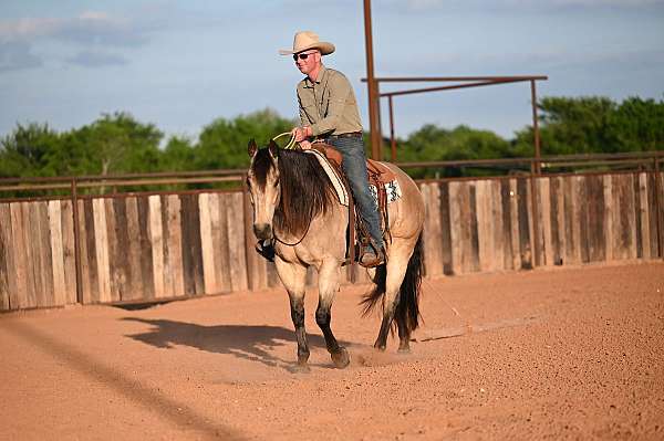 roping-quarter-horse