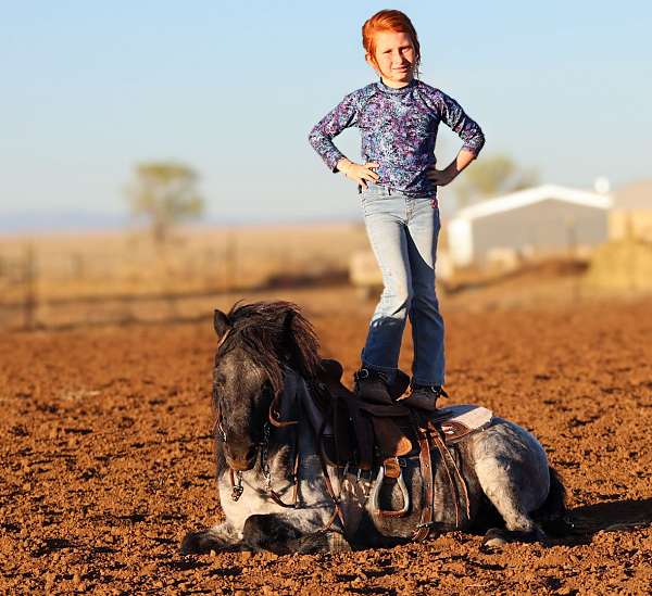 athletic-pony
