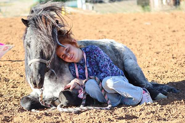 barrel-racing-pony