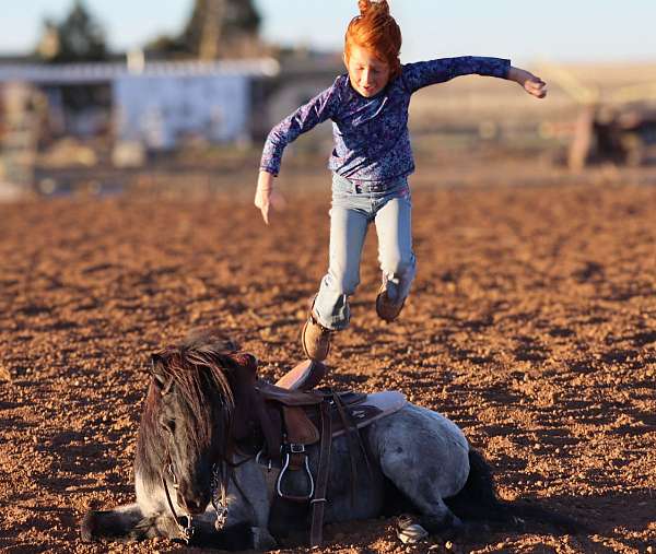 beginner-pony