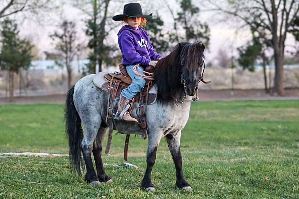 playday-pony