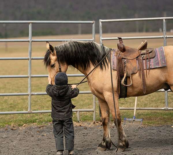 cross-draft-horse