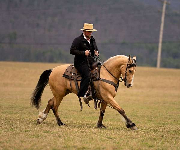 kid-safe-draft-horse