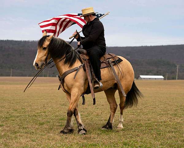 ranch-work-draft-horse