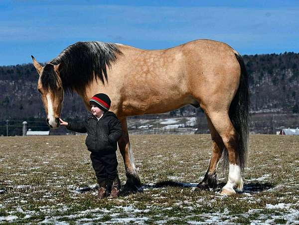youth-draft-horse