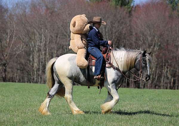 parade-gypsy-vanner-horse