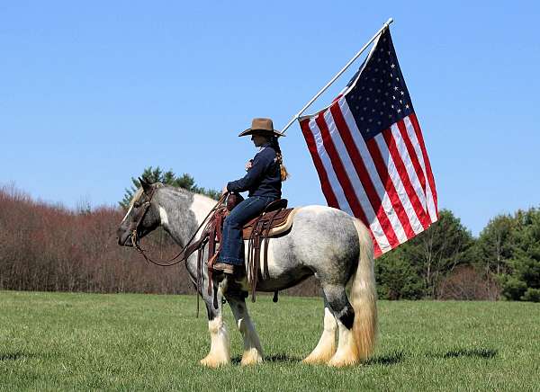 ranch-work-gypsy-vanner-horse