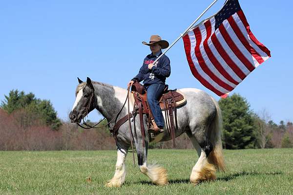 trail-riding-gypsy-vanner-horse