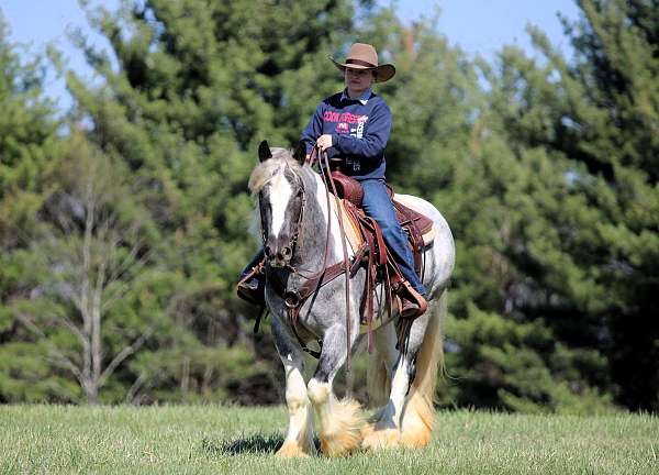 pinto-gypsy-vanner-mare