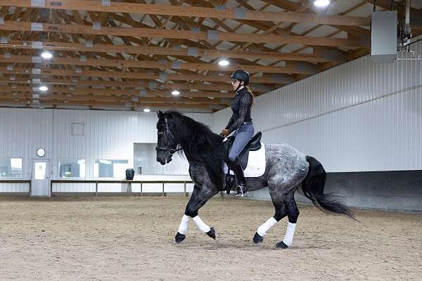 cross-quarter-horse