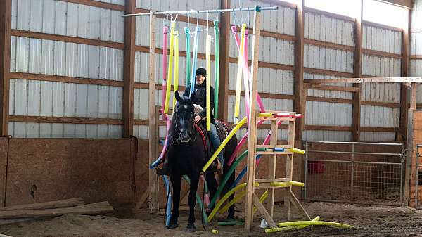 jumping-draft-horse