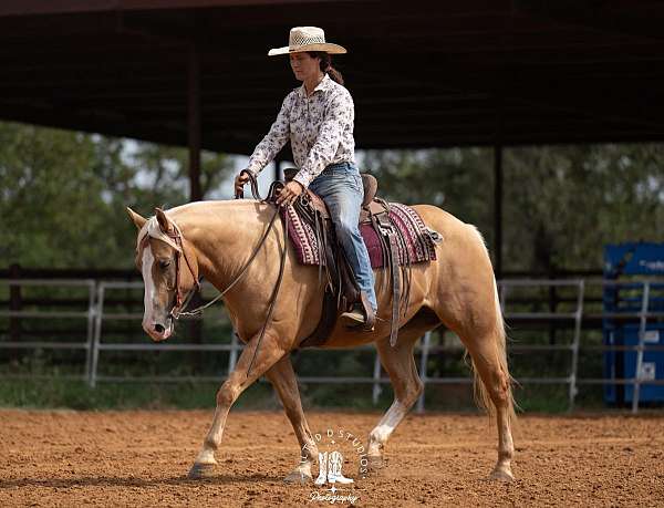 ranch-show-donkey