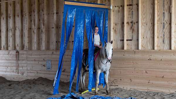 jumping-quarter-horse