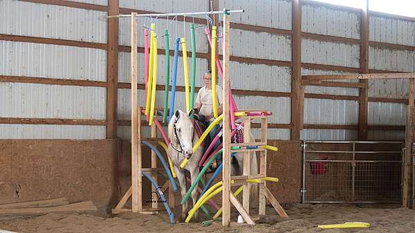 trail-riding-quarter-horse