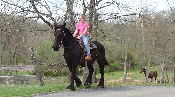 black-very-minimal-white-horse