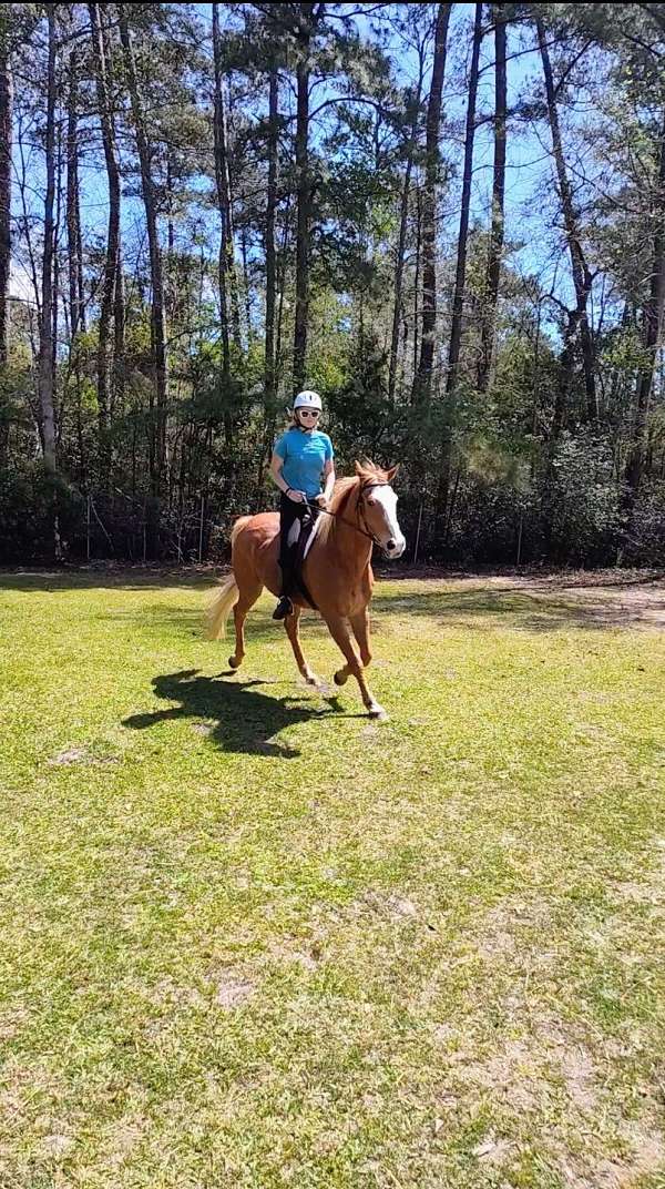 sorrel-flaxen-mane-tail-horse