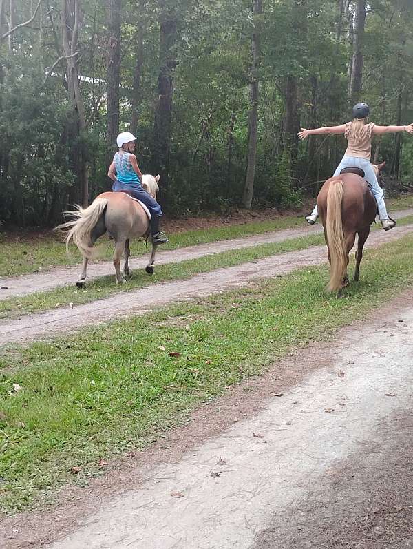 trail-riding-paint-horse