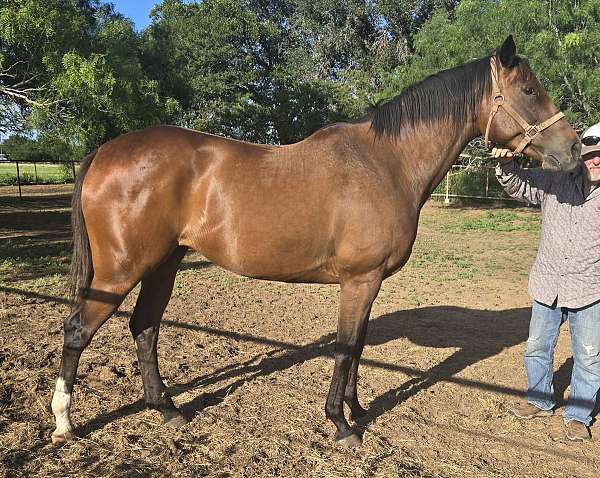business-filly