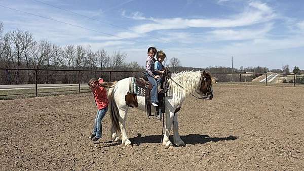 beginner-pony