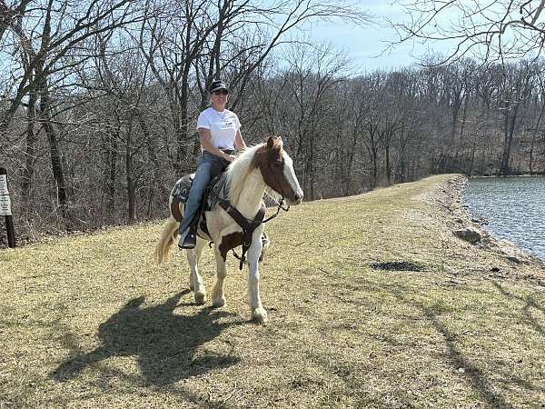 calf-roping-pony