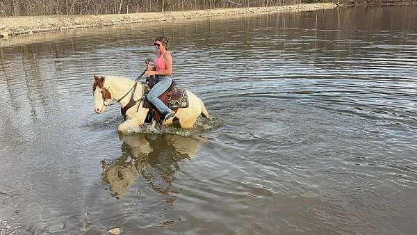 ranch-pony